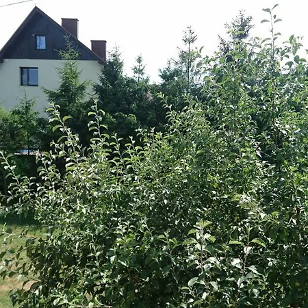 Agroturystyka Nad Potokiem